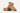 Ugg - Women Classic Mini II - Clique Apparel