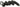 COREY FILIPS ARCOIRIS DE ORO BELT CF1057 - Clique Apparel